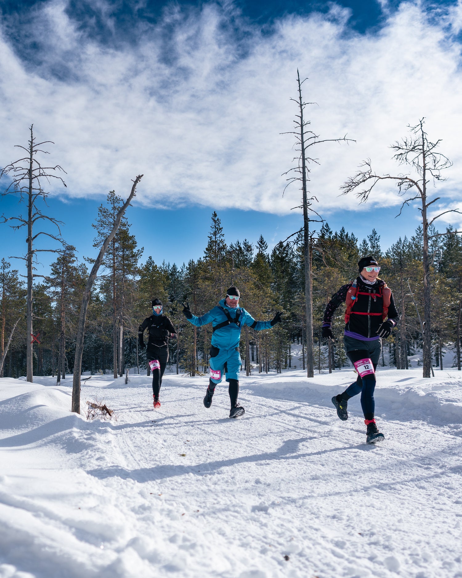 Älvdalen Winter Trail
