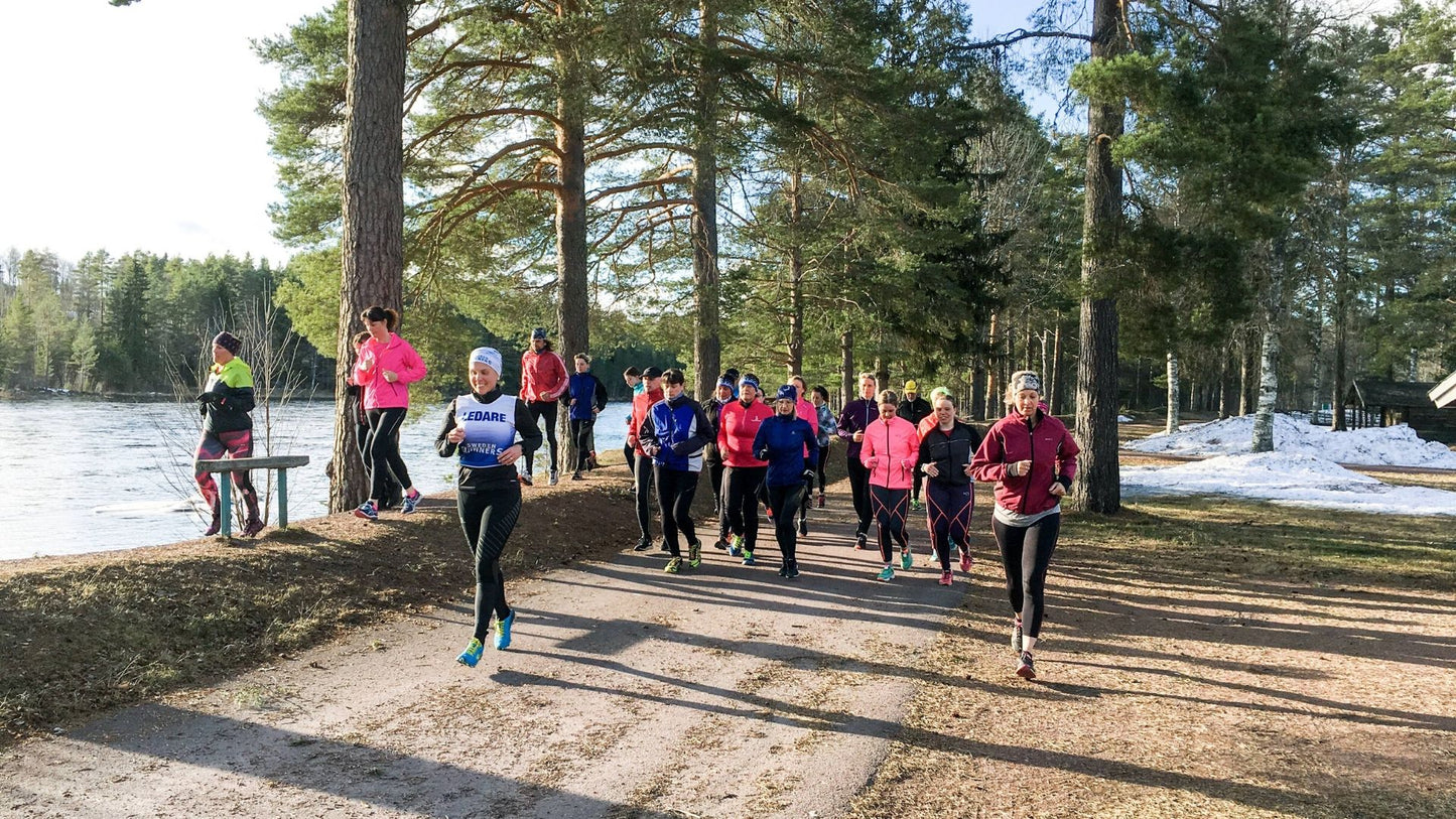 Träning & Medlemskap 1 år