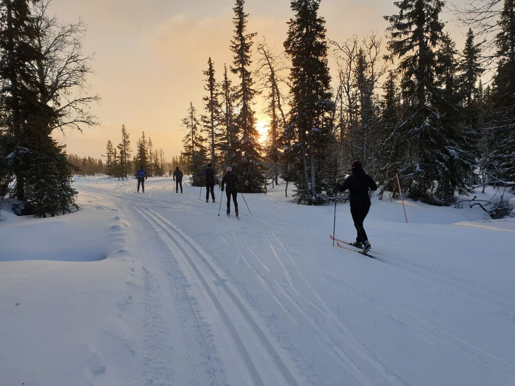 Längdskidläger Sweden Runners Grövelsjön