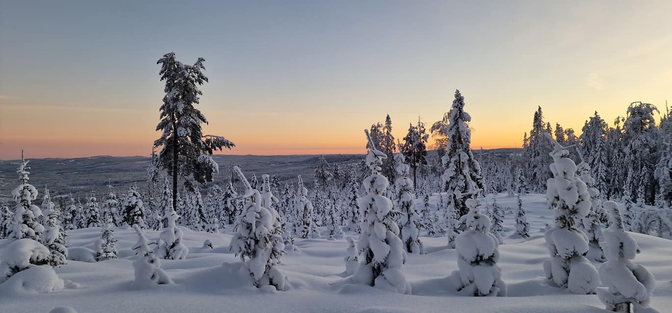 Älvdalen Winter Trail